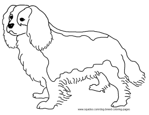 300x232 Dog Breed Coloring Pages Hubpages