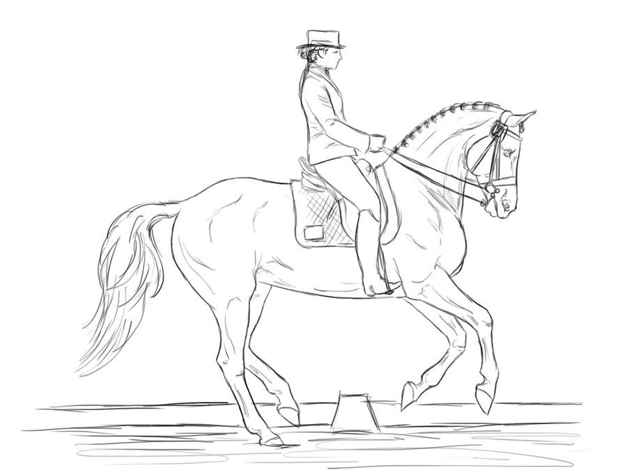900x675 Dressage Horse Coloring Pages Friesians Dressage