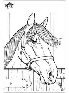 225x300 Free Horse Pictures To Color Horse Coloring Page Horse