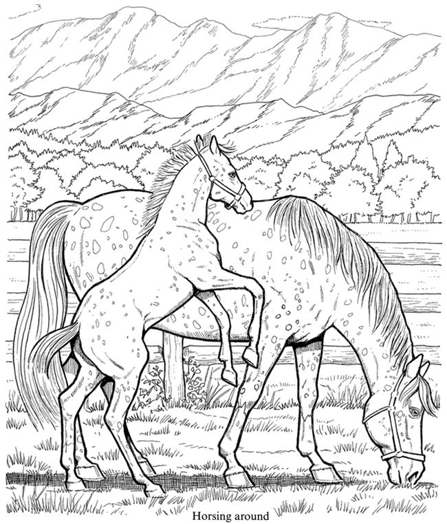 650x762 Welcome To Dover Publications Wonderful World Of Horses Coloring