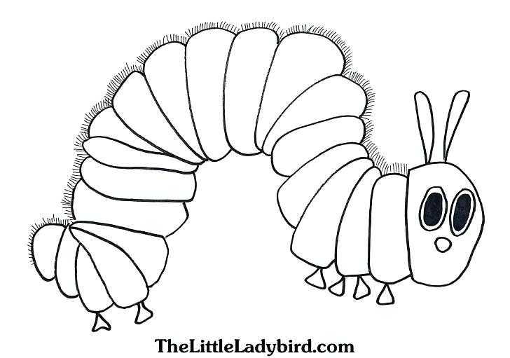 728x511 Eric Carle Coloring Page Coloring Pages Coloring Pages