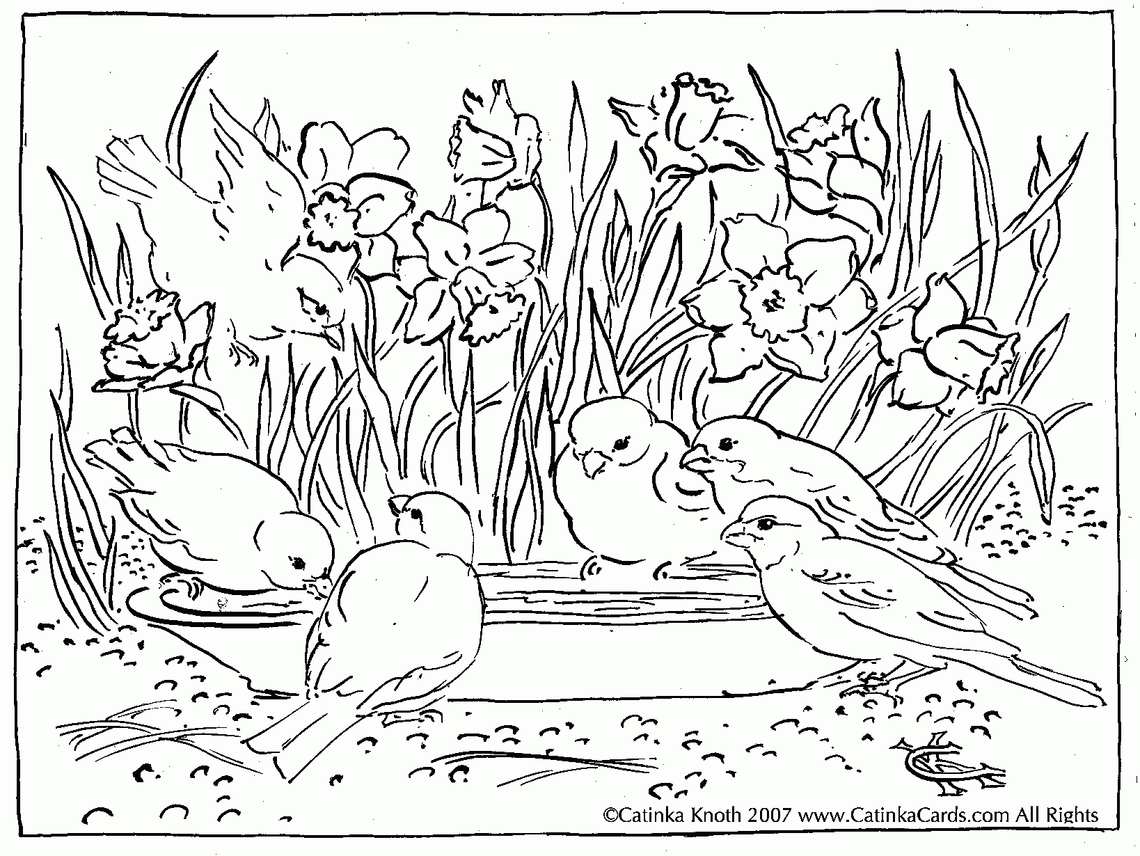 1638x1230 New Landscape Coloring Pages For Adults To Print