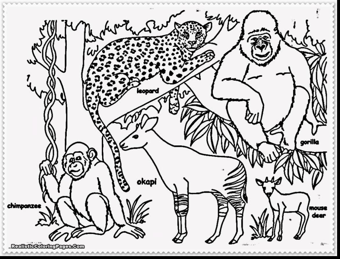 1172x891 Fascinating Cartoon Jungle Coloring Pages Alphabrainsznet Pics