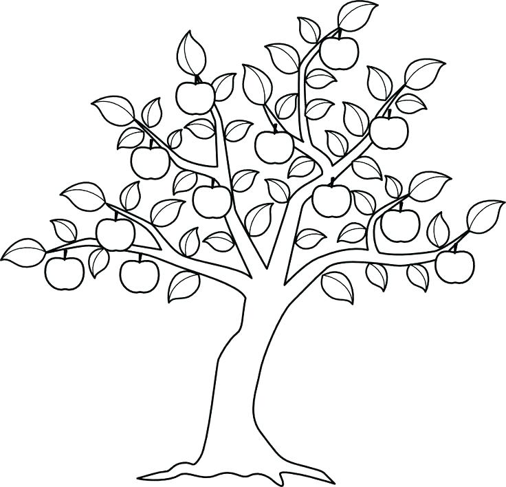 736x708 Dollar Tree Coloring Pages Tree Coloring Book As Well As Coloring