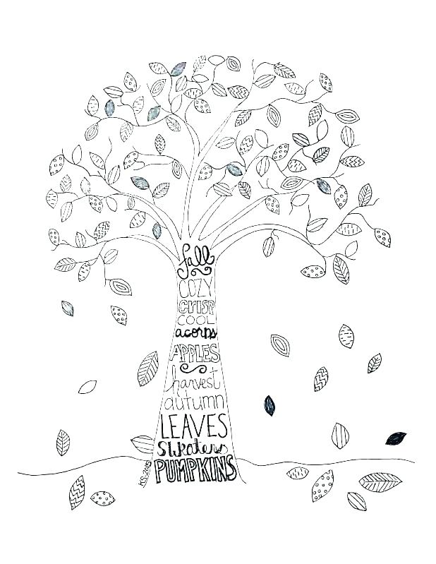 618x799 Tree Colouring Sheet Printable Coloring Apple Tree Coloring Page