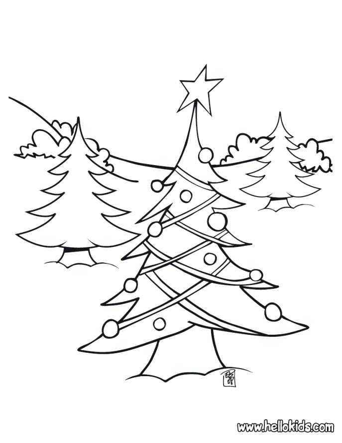 Evergreen Tree Coloring Page at GetDrawings | Free download