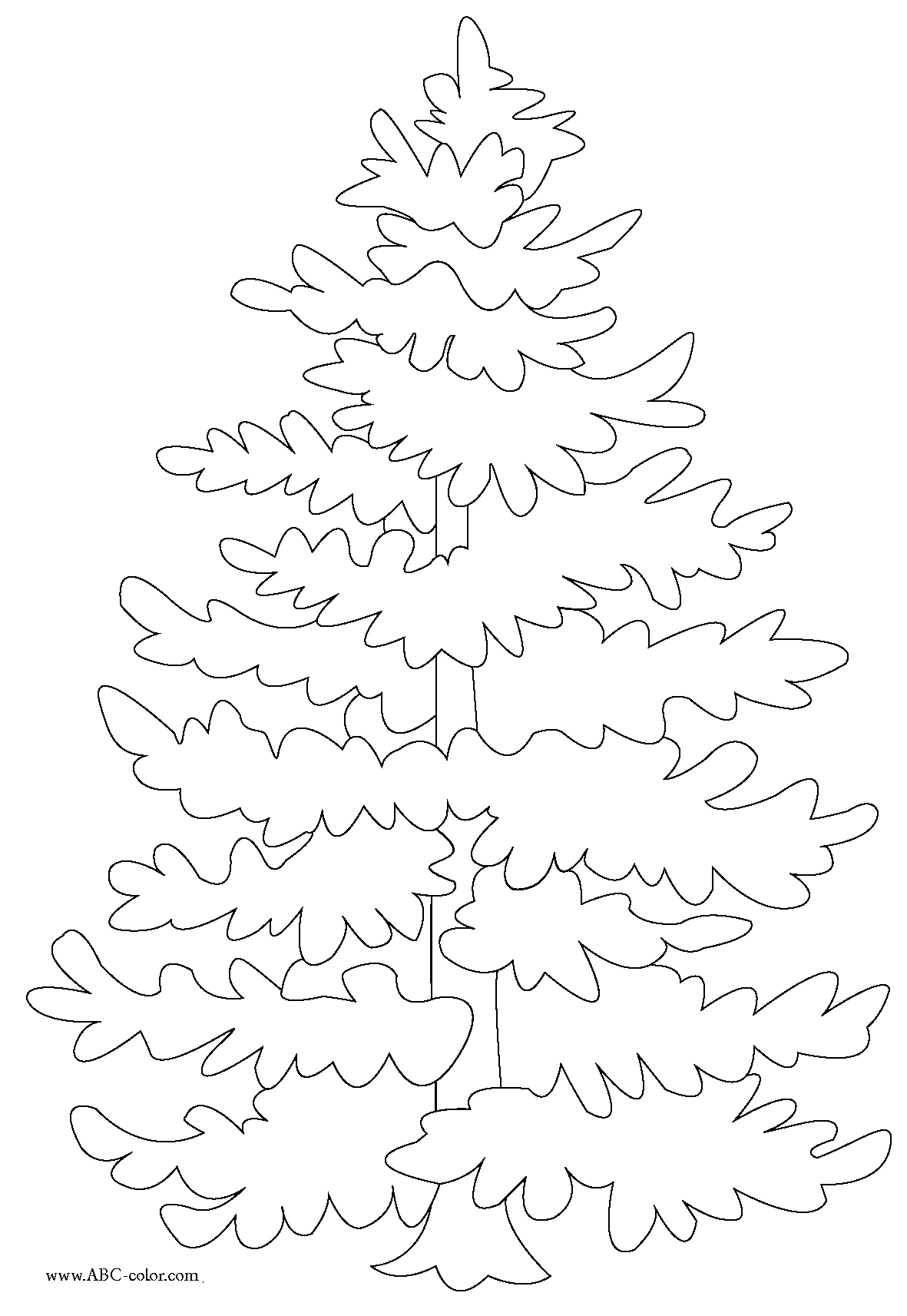 1181x1713 New Coloring Pages Evergreen Trees