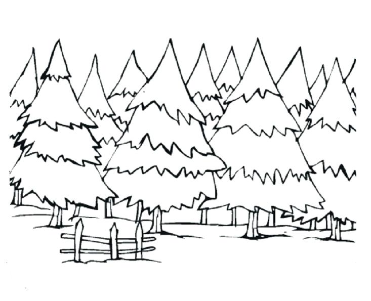733x595 Coloring Pages Of Trees