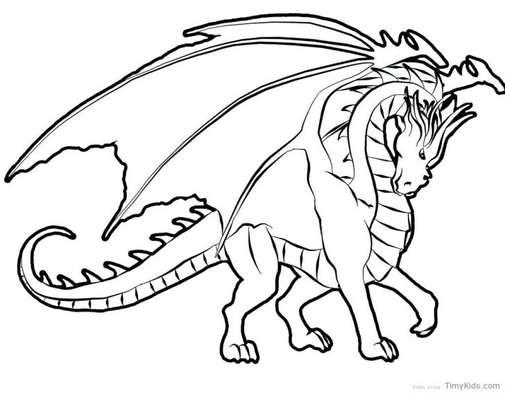728x567 Flying Dragon Coloring Pages Printable Free Page Books Exclusive