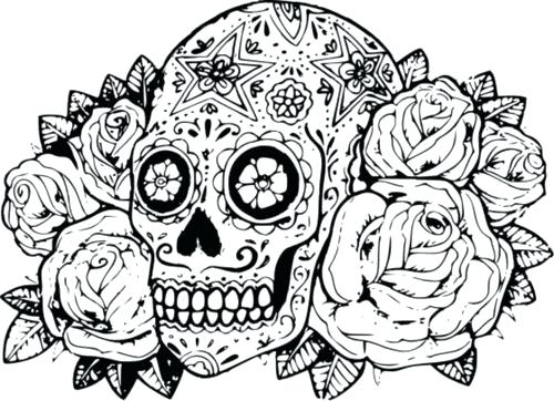 500x362 Skull Color Pages Coloring Page Adult Sugar Skull Coloring Pages
