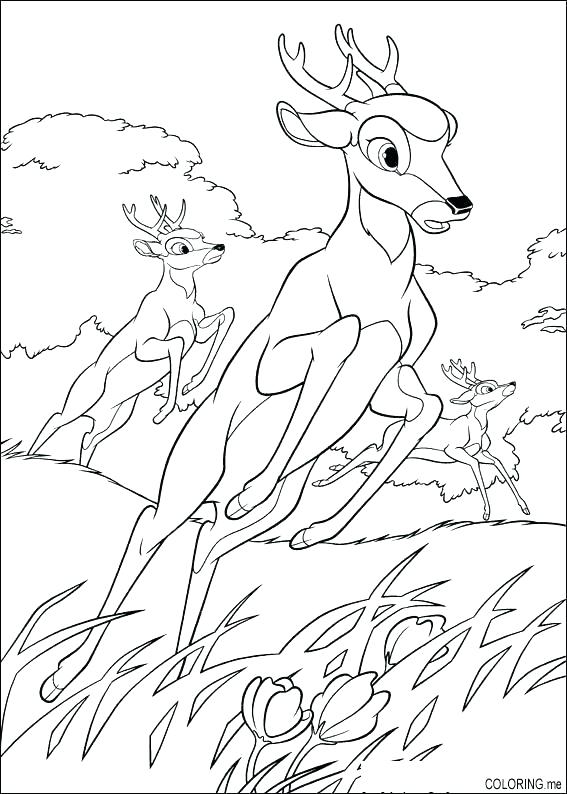 567x794 John Deere Coloring Pages Also Deer Printable Coloring Pages