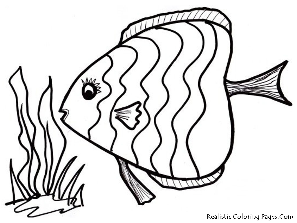 1024x768 Realistic Tropical Fish Coloring Pages