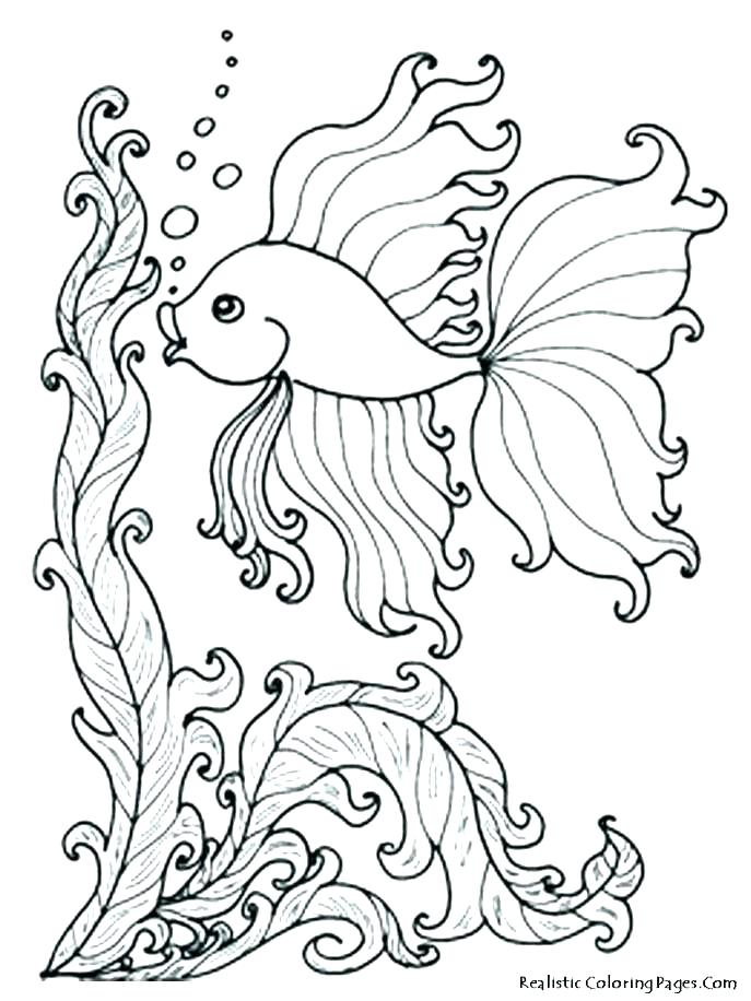 687x916 Tropical Coloring Pages Tropical Flower Coloring Pages Tropical