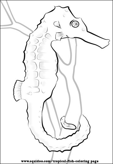 360x523 Tropical Fish Coloring Page Tropical Fish, Fish And Seahorses