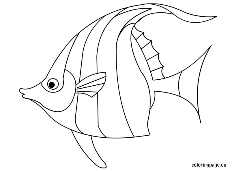 Exotic Fish Coloring Pages at GetDrawings | Free download