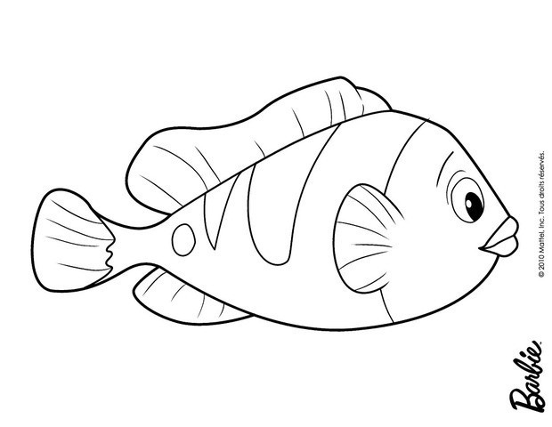 620x480 Fish Of Oceana Coloring Pages Hellokids Com Images To Color We