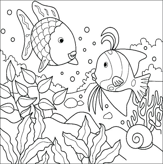 567x572 Jelly Fish Coloring Page Tropical Fish Coloring Pages Fish
