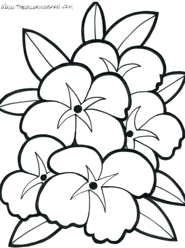 597x800 Flower Tropical Flower Coloring Pages Sunflowers In A Vase