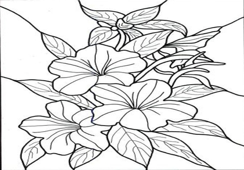 Exotic Flower Coloring Pages at GetDrawings | Free download