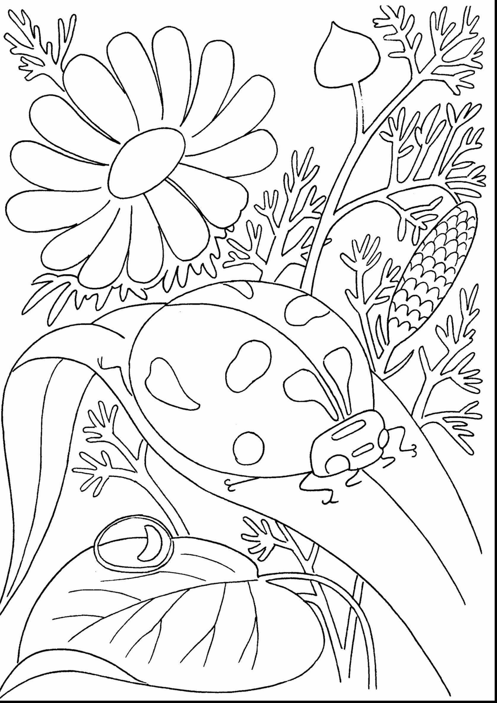 1675x2368 Awesome Tropical Flower Coloring Pages Collection Printable