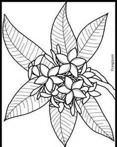 236x296 Flower Page Printable Coloring Sheets Tropical Flower
