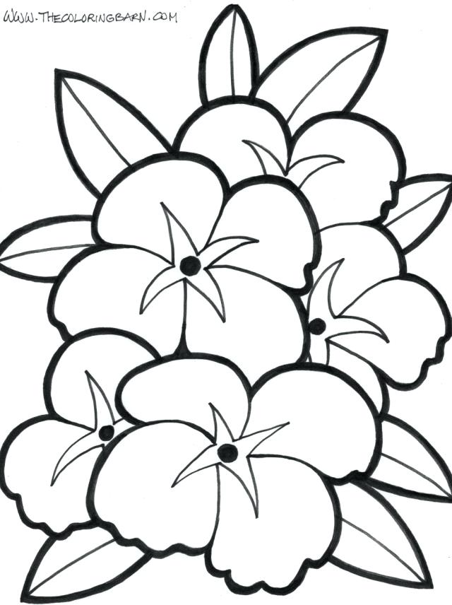 640x856 Coloring Pages Flower Coloring Pages Flower Coloring Pages Best