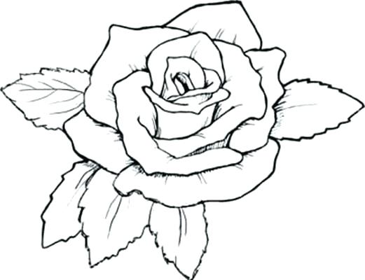 Exotic Flower Coloring Pages at GetDrawings | Free download