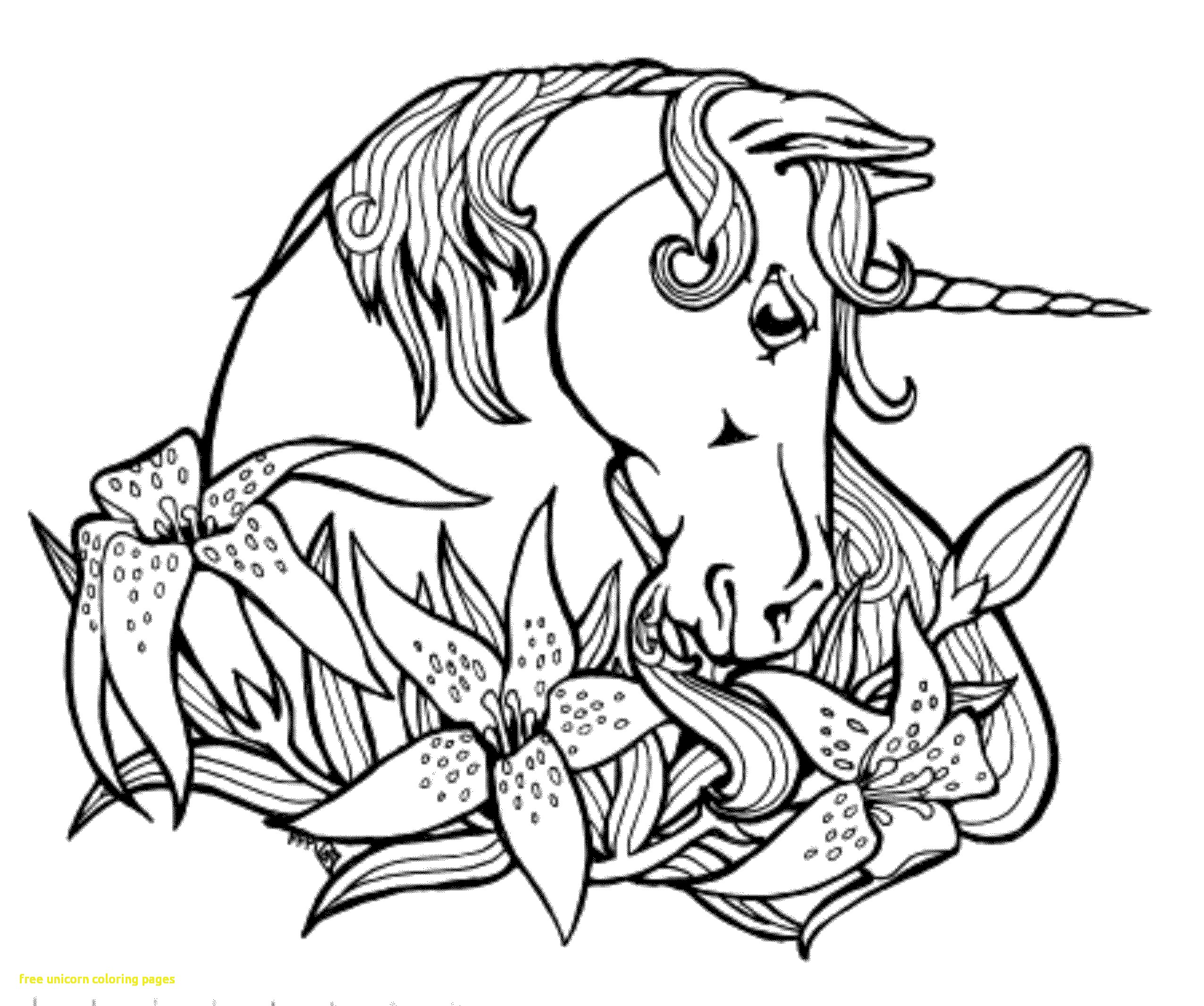 2551x2132 Expert Coloring Pages Of Unicorns To Print Free Unicorn With Fresh