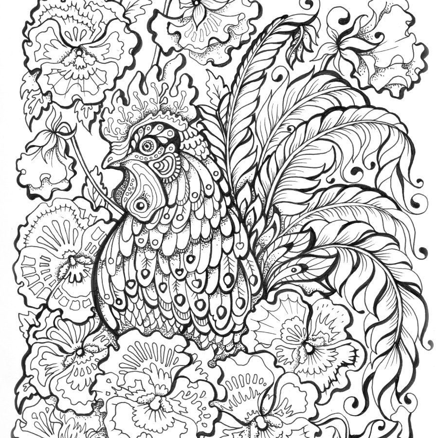 900x900 Sakura Of America