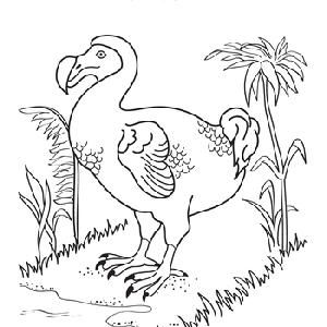 300x300 Fur, Feathers, Ferns Bears Adventure Great Coloring Sheets