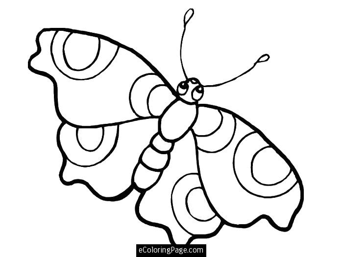700x525 Uncategorized Butterfly Big Eyes Coloring Pages For Printable