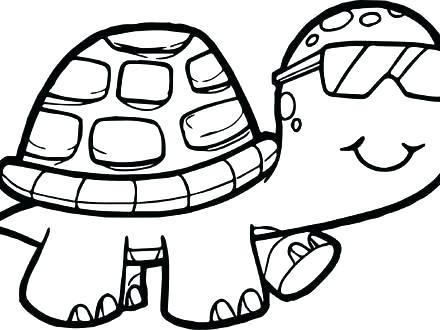 440x330 Tortoise Coloring Page Find A Color