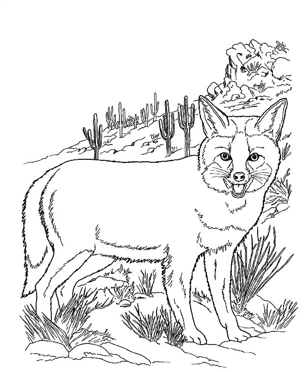 600x731 Jet Fighter Airplane Coloring Page