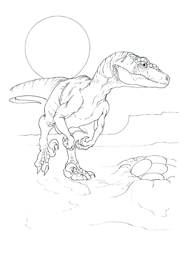 640x880 Raptor Coloring Pages Coloring Pages Park Coloring Page Park