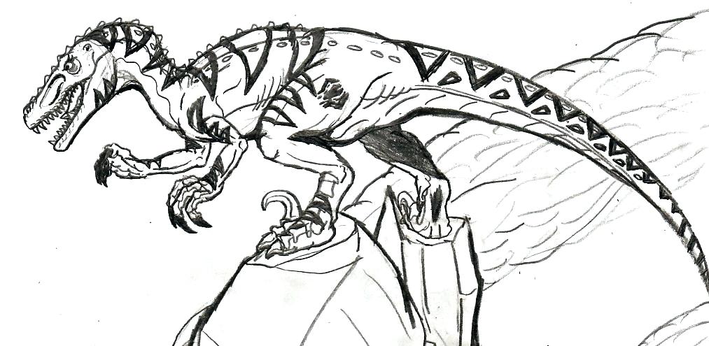 1013x495 Contemporary Raptor Coloring Pages Sketch