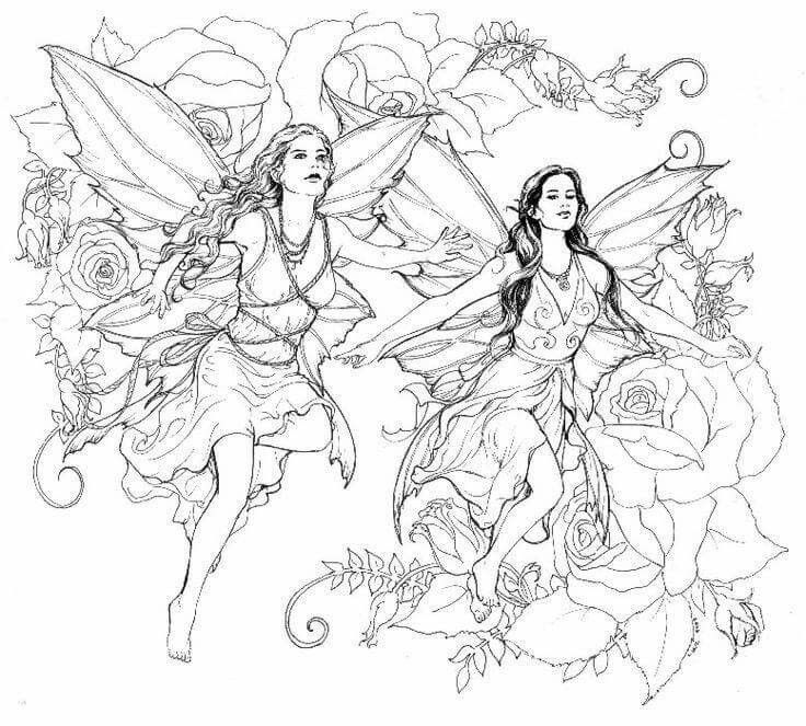 736x663 Fairy Coloring Pages For Adults