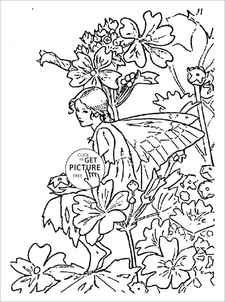 736x988 Flower Fairy Coloring Pages