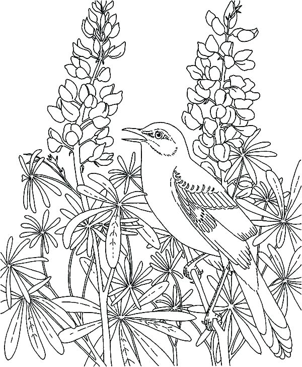600x728 Garden Fairies Coloring Pages Coloring Pages Of Fairies Fairies
