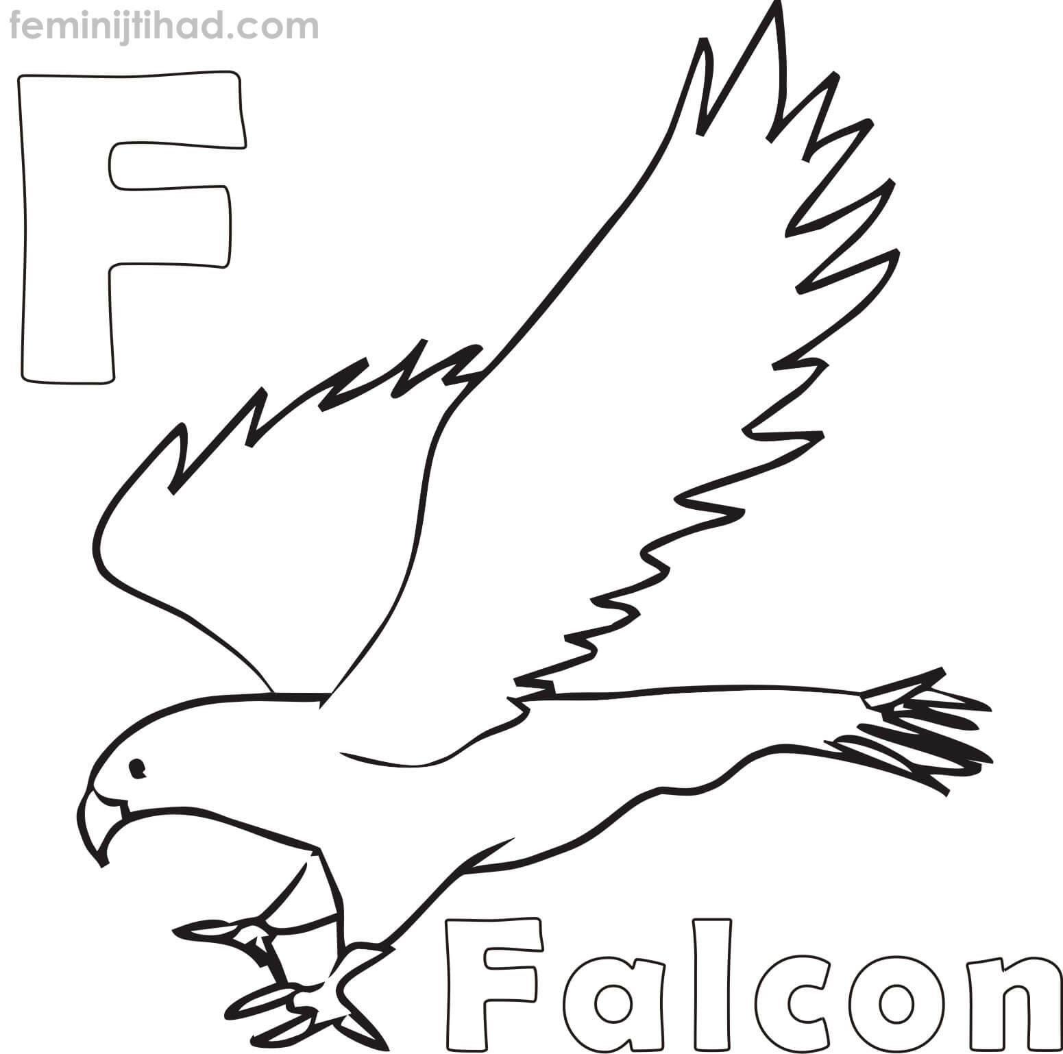 1551x1538 Falcon Coloring Pages To Print For Free Coloring Pages For Kids