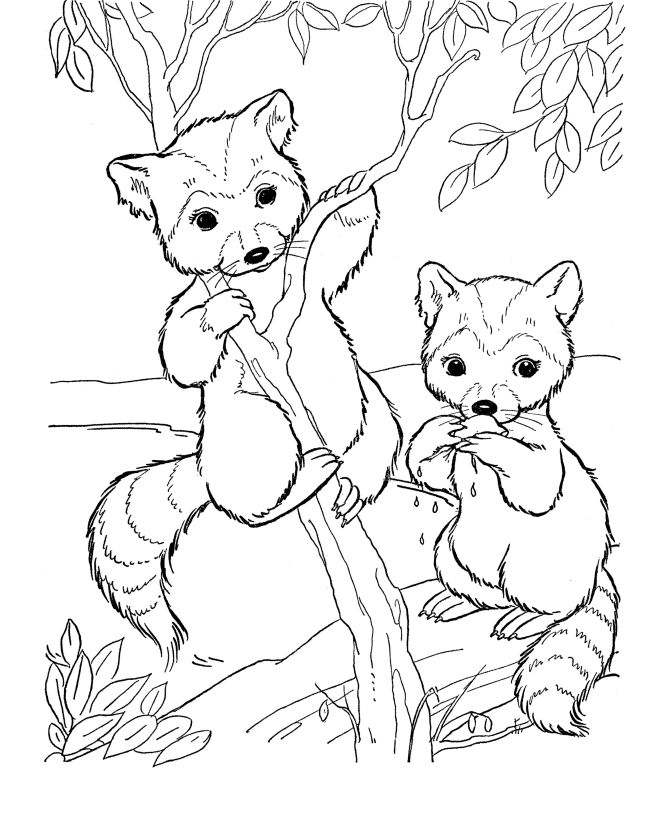 670x820 Best Animal Coloring Pages Doodle Images