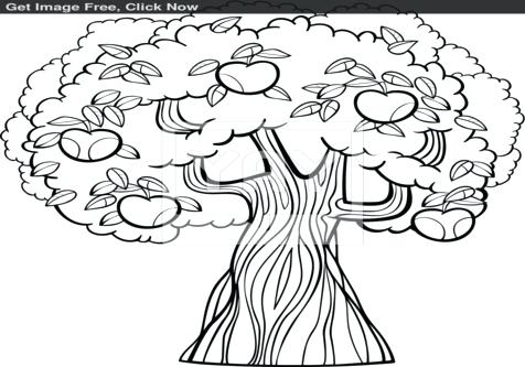 476x333 Johnny Apple Tree Coloring Page Image Images Coloring Trend Medium