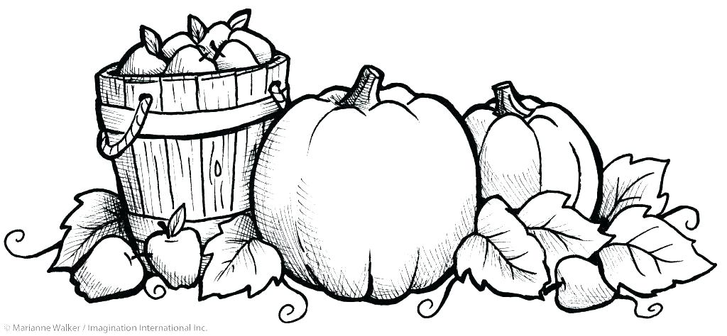 1024x474 Fall Coloring Pages Free