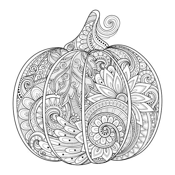 559x559 Fall Coloring Pages For Adults