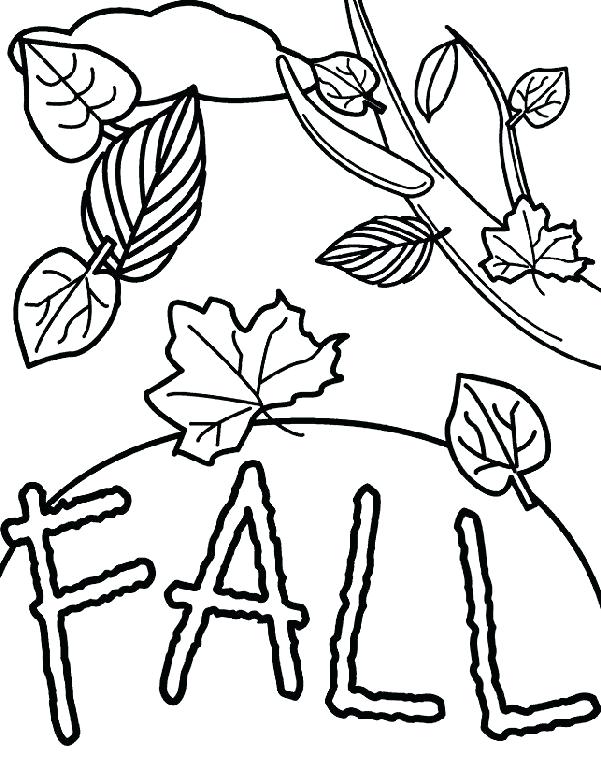 601x762 Leaf Coloring Pages Printable Vanda