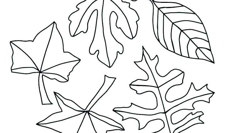 720x425 Free Printable Fall Leaves Coloring Pages Icontent