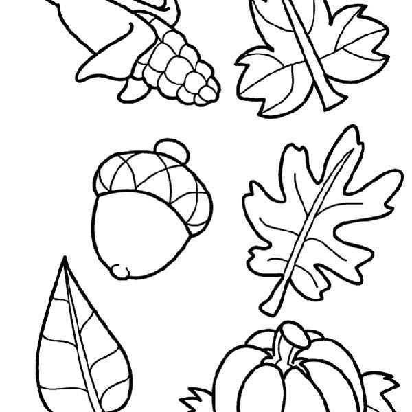 600x600 Fall Harvest Coloring Pictures Free Coloring Page