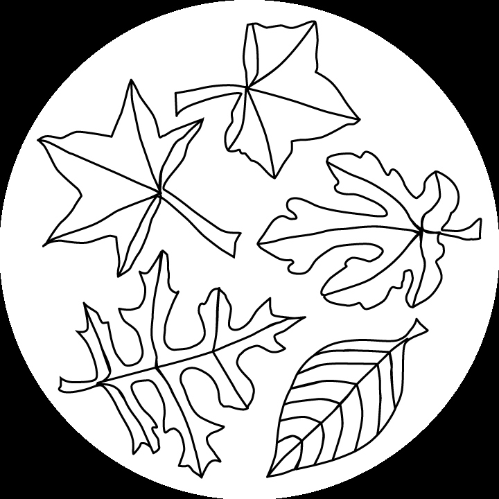 720x720 Fall Leaves Coloring Pages Unique Maple Leaves Clip Art Grayscale