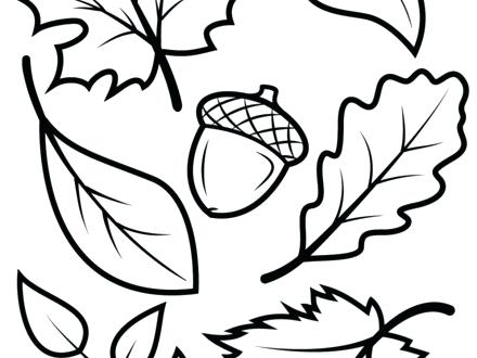 440x330 Autumn Leaves Coloring Pages Free