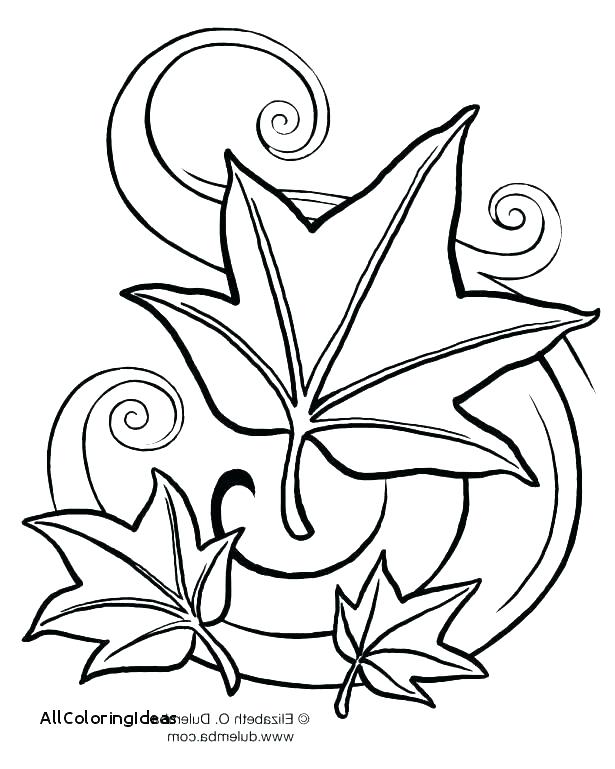 615x769 Fall Leaves Coloring Page