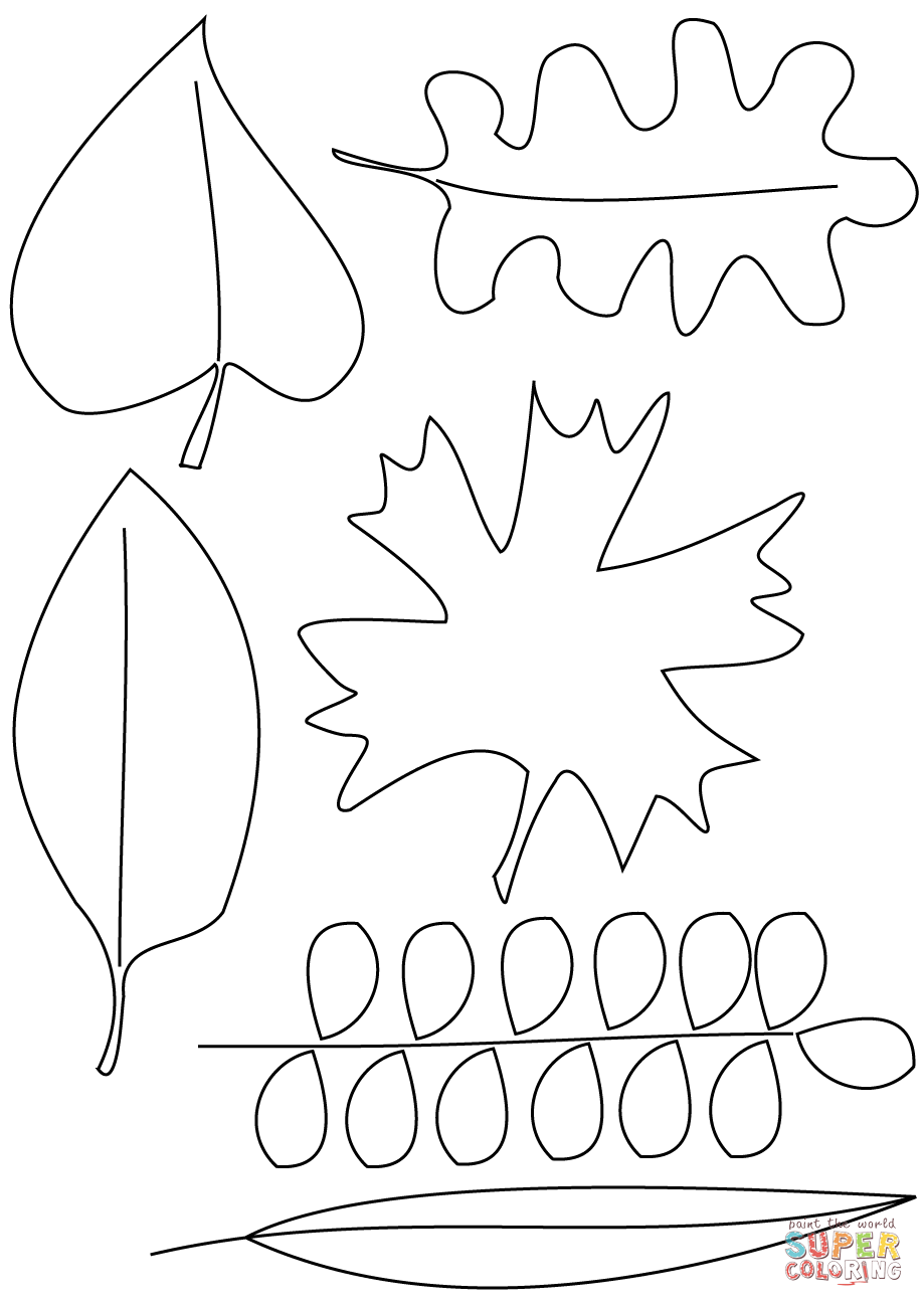 919x1300 Autumn Leaves Coloring Pages